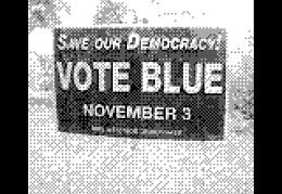 Vote Blue 20201117 - 200639