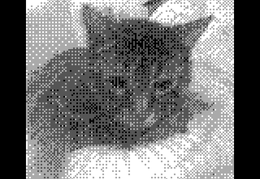 Bed Cat 20210104 - 212736