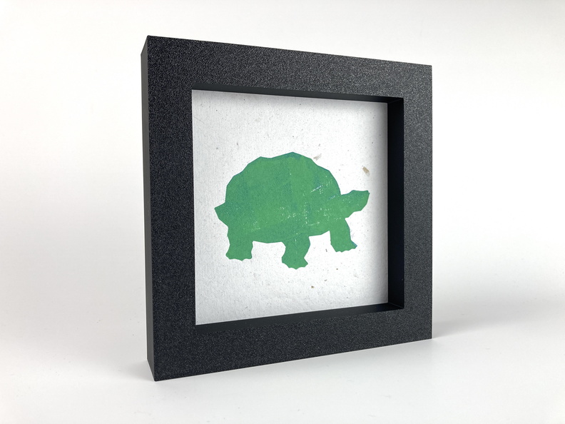 Green Turtle.jpg
